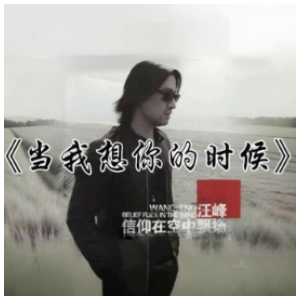 当我想你的时候  简易钢琴弹唱伴奏 带歌词 汪峰-钢琴谱
