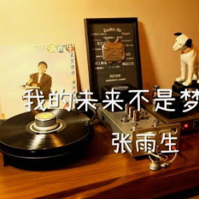 我的未来不是梦 简易钢琴弹唱伴奏 带歌词 张雨生-钢琴谱