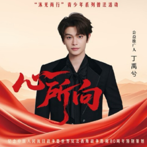 心所向  C调简易版 丁禹兮-钢琴谱