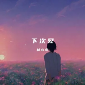 下次见 - 林心念 原调-钢琴谱