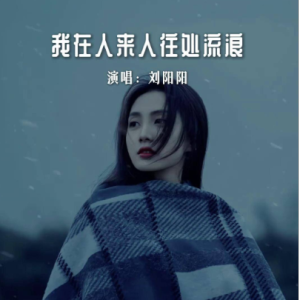 我在人来人往处流浪 简易钢琴弹唱伴奏 带歌词-钢琴谱