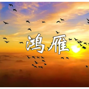 鸿雁转调优化版-钢琴谱