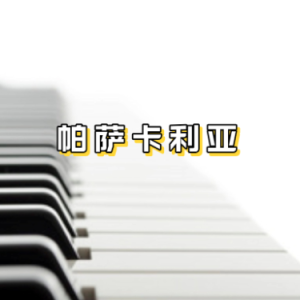 帕萨卡利亚钢琴简谱 数字双手