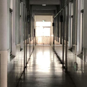 《半岛铁盒》很简单-钢琴谱