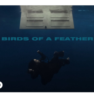Birds of a Feather钢琴简谱 数字双手 比莉·艾利什,菲尼亚斯·奥康奈尔 Birds of a Feather钢琴简谱 数字双手 比莉·艾利什,菲尼亚斯·奥康奈尔