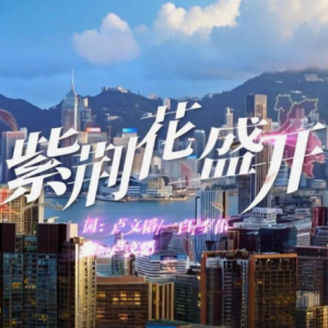 紫荆花盛开 简易版 李荣浩/梁咏琪-钢琴谱