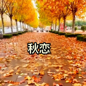 秋恋钢琴简谱 数字双手