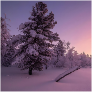 雾和雪-雪漫周身-钢琴谱