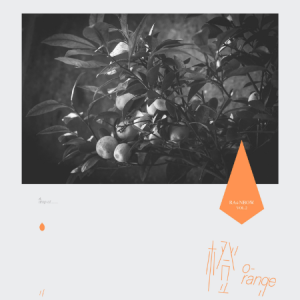 记念 - RAiNBOW计划 /雷雨心钢琴谱