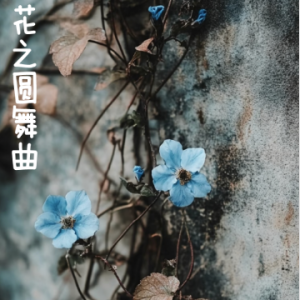 WALTZ OF THE FLOWERS钢琴简谱 数字双手