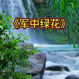 军中绿花钢琴简谱 数字双手