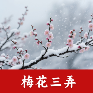 梅花三弄——唯美优化版-钢琴谱