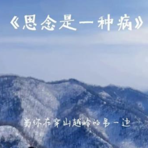 思念是一种病钢琴简谱 数字双手