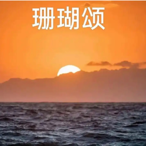 珊瑚颂优化版-钢琴谱