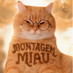 Montagem Miau钢琴简谱 数字双手