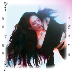 烧成灰烬-钢琴谱