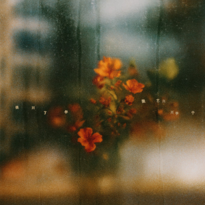 提到了你—张艺兴  刘宇宁【入门C调简单版】-钢琴谱