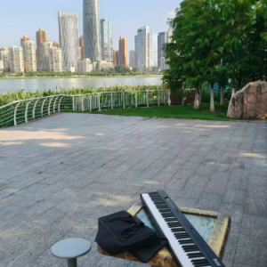 写在风中的信E调抒情版-钢琴谱