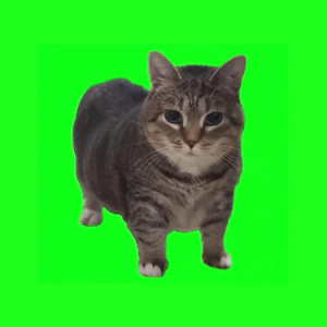 OIIA OIIA W&W-钢琴谱