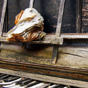 《我们》高度还原钢琴版 - 声不可测钢琴谱