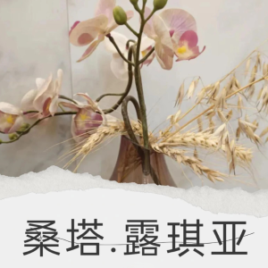 桑塔露琪亚G调伴奏谱带歌词-钢琴谱