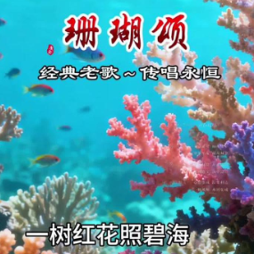 珊瑚颂  C调简易钢琴弹唱伴奏 带歌词  经典流行-钢琴谱