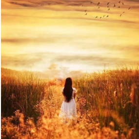 秋天不回来  简易钢琴弹唱伴奏 带歌词  王强-钢琴谱