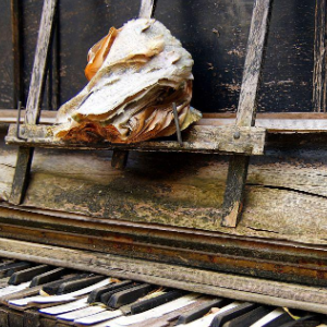 天地之音钢琴简谱 数字双手 未知