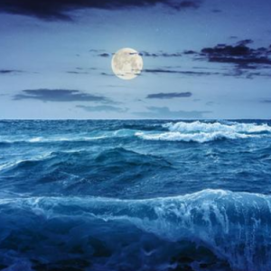 共潮生钢琴简谱 数字双手