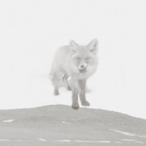 平原钢琴简谱 数字双手 屹然