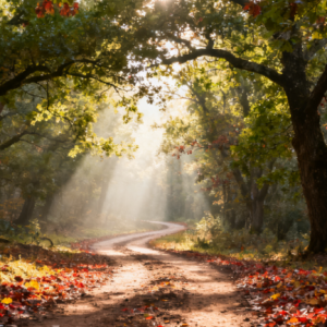 A Walk In The Forest钢琴简谱 数字双手