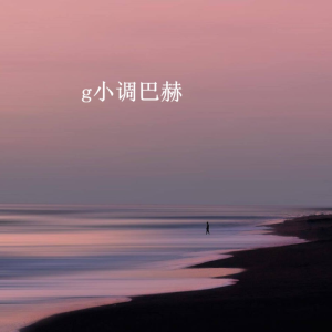 g小调巴赫改编版-钢琴谱