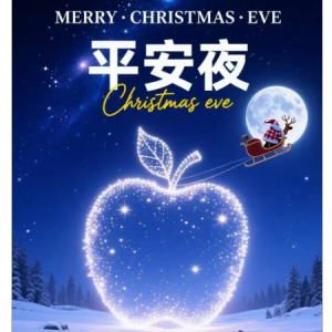 平安夜钢琴简谱 数字双手