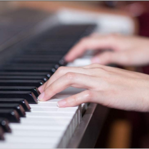 大鱼钢琴简谱 数字双手