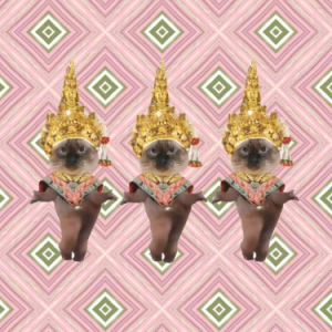 泰曼波 哈基米之歌-钢琴谱