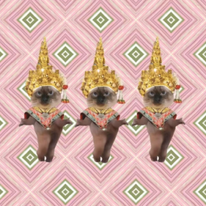 泰曼波钢琴简谱 数字双手