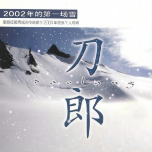 雨中飘荡的回忆钢琴简谱 数字双手 刀郎