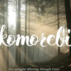 komorebi钢琴简谱 数字双手