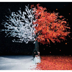 everlasting snow钢琴简谱 数字双手