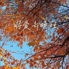 将爱却晚秋 简易版 灯叔-钢琴谱