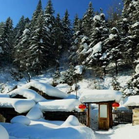 大东北我的家乡钢琴简谱 数字双手