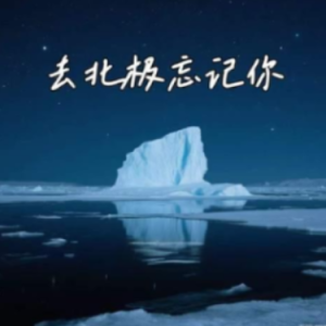 去北极忘记你钢琴简谱 数字双手