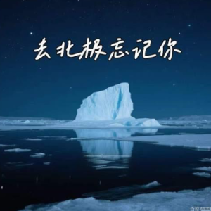 去北极忘记你  C调简易版  林宥嘉 / 汪苏泷-钢琴谱