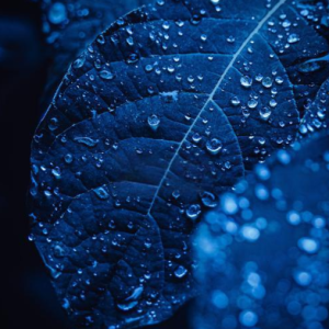 雨的印记钢琴简谱 数字双手