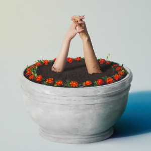 Aimyon(爱缪) - マリーゴールド (金盏花)-钢琴谱