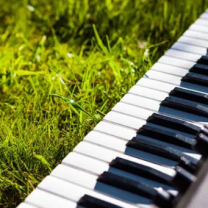 IF YOU-BIGBANG C调钢琴弹奏版-钢琴谱