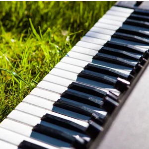 One More Light钢琴简谱 数字双手 Milk Shinoda，Francis White