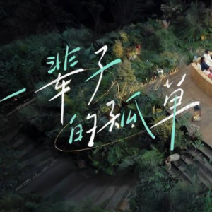 一辈子的孤单 C调简易版 刘若英  流行经典-钢琴谱