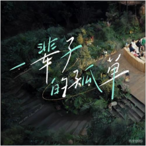 一辈子的孤单 原调简易版 刘若英  流行经典-钢琴谱