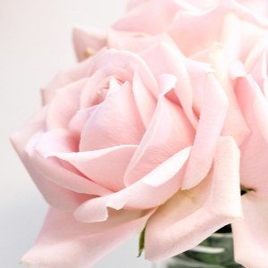 love me钢琴简谱 数字双手